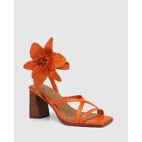 Read Wittner Reviews